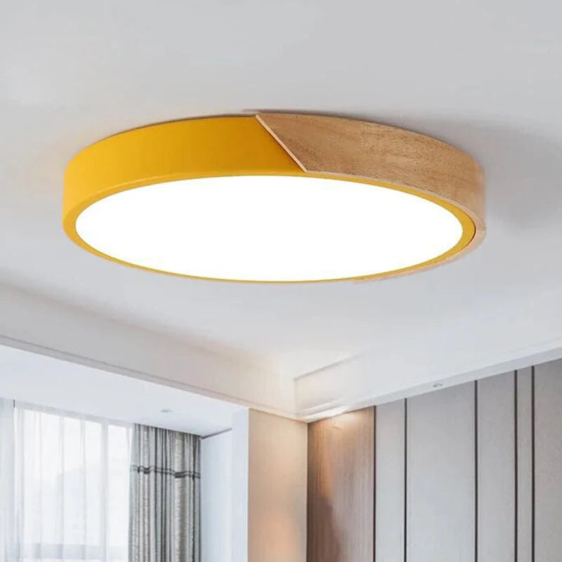 Ceiling Lamp Round Acrylic LED Flush Mount