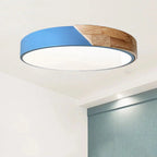 Ceiling Lamp Round Acrylic LED Flush Mount