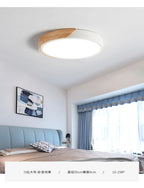 Ceiling Lamp Round Acrylic LED Flush Mount