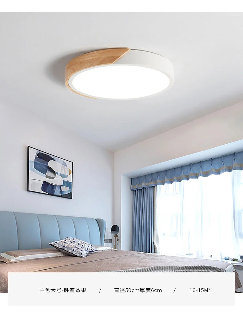 Ceiling Lamp Round Acrylic LED Flush Mount