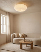 Ceiling Lamp Scandinavian Dimmable LED Remote Control