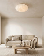 Ceiling Lamp Scandinavian Dimmable LED Remote Control