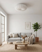 Ceiling Lamp Scandinavian Dimmable LED Remote Control