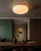 Ceiling Lamp Scandinavian Dimmable LED Remote Control