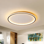 Ceiling Lamp Stepless Dimmable LED With Remote Aluminum Frame