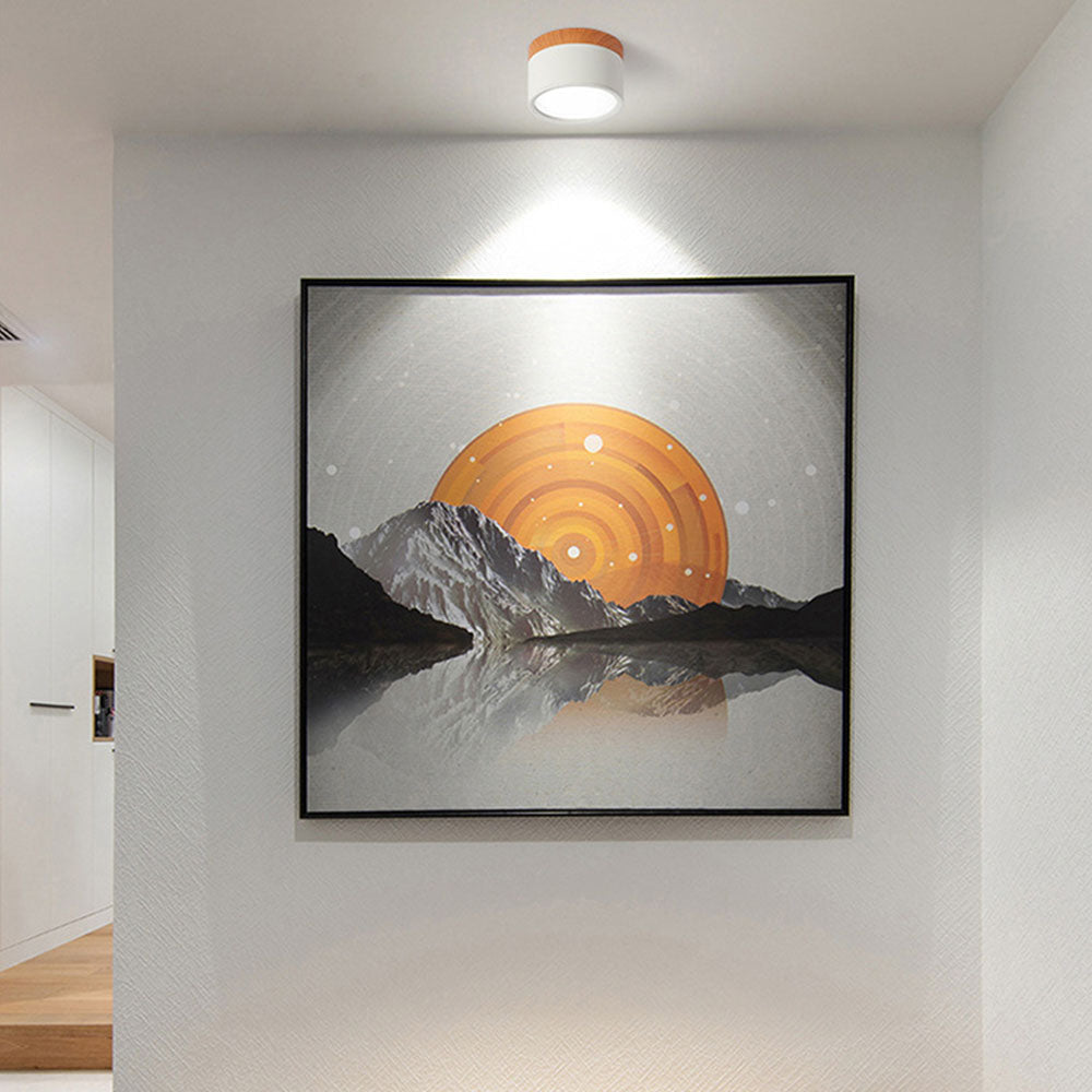 Ceiling Light Aluminum Wood-Grain Collar Focused Beam