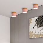 Ceiling Light Aluminum Wood-Grain Collar Focused Beam
