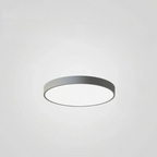 Ceiling Light Circular Multicolor LED Dimmable