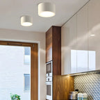 Ceiling Light Flush Mount Integrated LED Frosted Diffuser