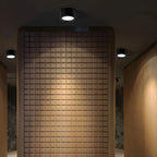 Ceiling Light Flush Mount Integrated LED Frosted Diffuser