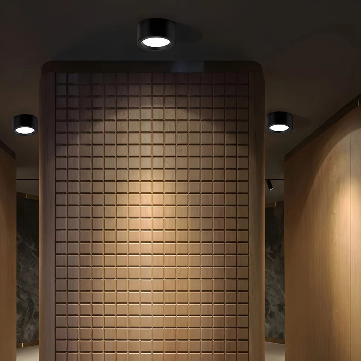Ceiling Light Flush Mount Integrated LED Frosted Diffuser