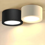 Ceiling Light Flush Mount Integrated LED Frosted Diffuser