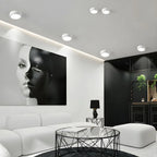 Ceiling Light Flush Mount Integrated LED Frosted Diffuser