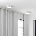 Ceiling Light Flush Mount Integrated LED Frosted Diffuser