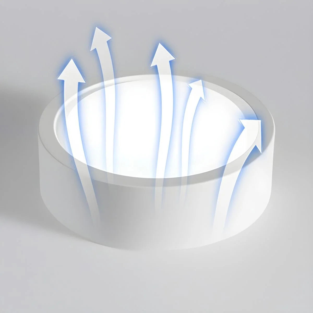 Ceiling Light Flush Mount Integrated LED Frosted Diffuser