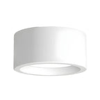 Ceiling Light Flush Mount Integrated LED Frosted Diffuser