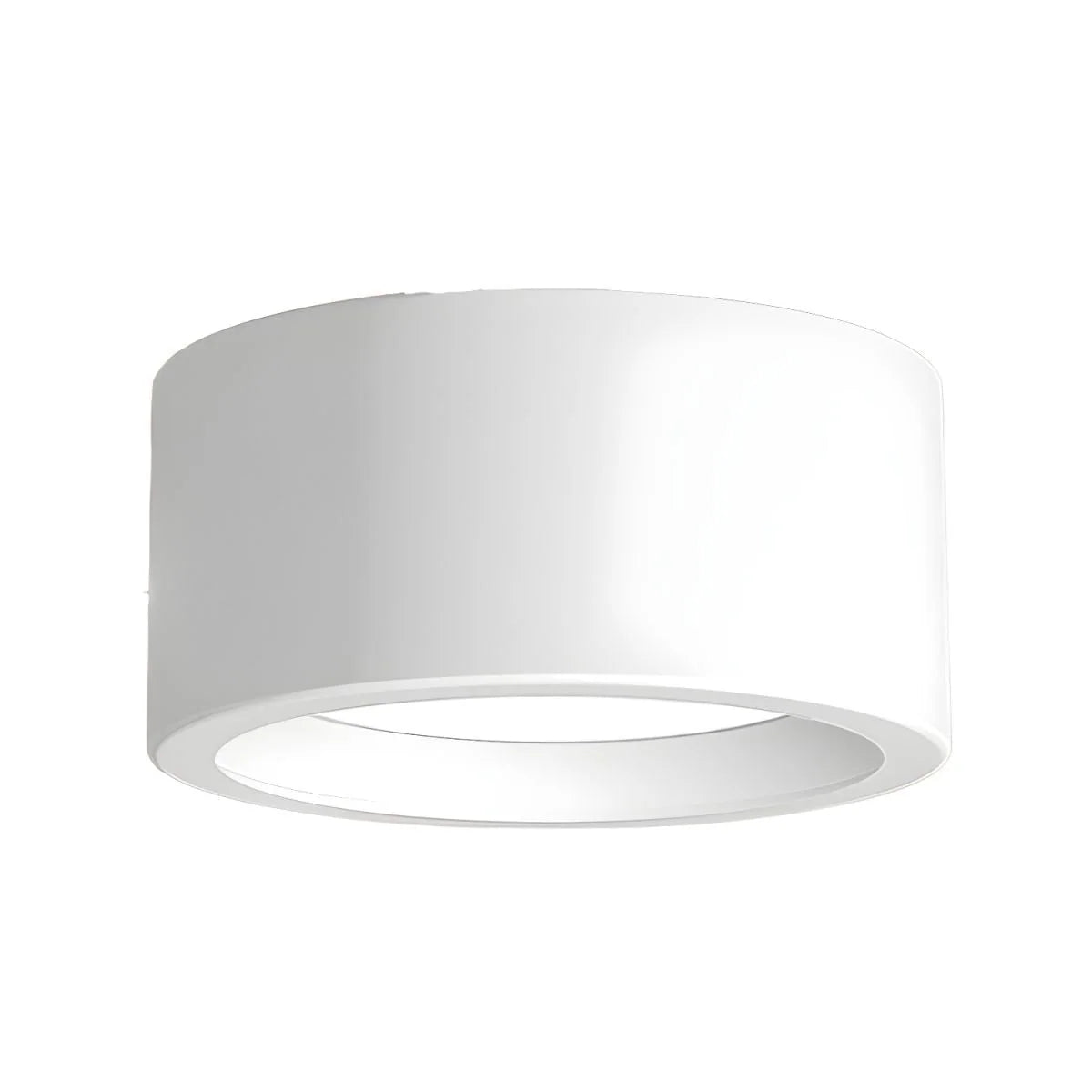 Ceiling Light Flush Mount Integrated LED Frosted Diffuser