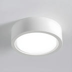 Ceiling Light Flush Mount Integrated LED Frosted Diffuser
