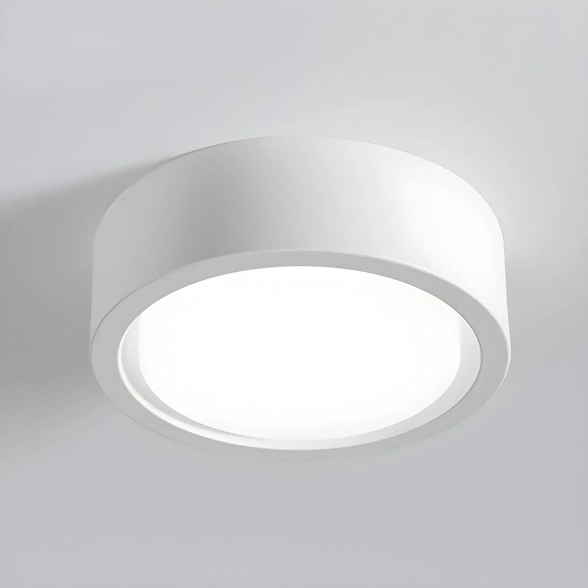Ceiling Light Flush Mount Integrated LED Frosted Diffuser
