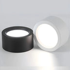 Ceiling Light Flush Mount Integrated LED Frosted Diffuser
