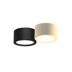 Ceiling Light Flush Mount Integrated LED Frosted Diffuser