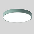 Ceiling Light Flush Mount Wood Accent Warm LED