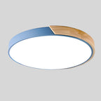 Ceiling Light Flush Mount Wood Accent Warm LED