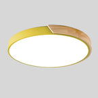 Ceiling Light Flush Mount Wood Accent Warm LED