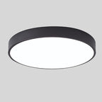 Ceiling Light Flush Mount Wood Accent Warm LED