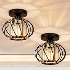 Ceiling Light Industrial Cage Glass Polished Metal