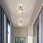 Ceiling Light Industrial Cage Glass Polished Metal