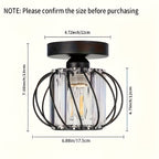 Ceiling Light Industrial Cage Glass Polished Metal