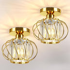 Ceiling Light Industrial Cage Glass Polished Metal