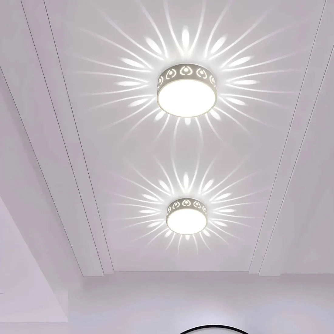Ceiling Light LED Switchable Warm & Cool Crystal Acrylic