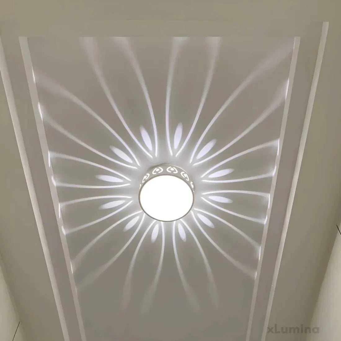 Ceiling Light LED Switchable Warm & Cool Crystal Acrylic