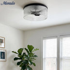 Ceiling Light Low Profile Ribbed Glass Diffuser