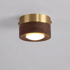 Ceiling Light Natural Wood Integrated LED Spotlight