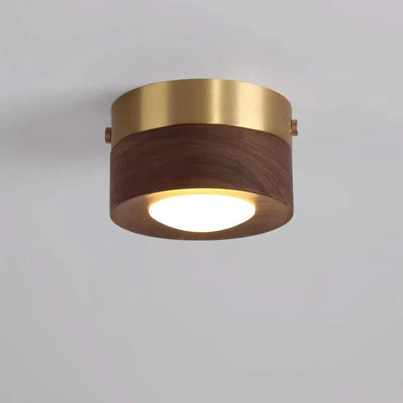 Ceiling Light Natural Wood Integrated LED Spotlight