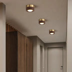 Ceiling Light Natural Wood Integrated LED Spotlight