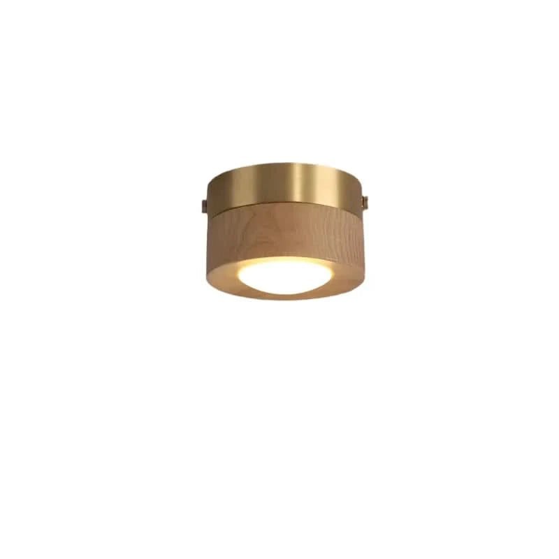 Ceiling Light Natural Wood Integrated LED Spotlight