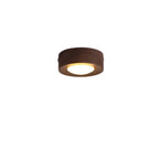 Ceiling Light Natural Wood Integrated LED Spotlight