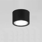 Ceiling Spotlight Adjustable LED Matte Metal
