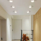 Ceiling Spotlight Adjustable LED Matte Metal