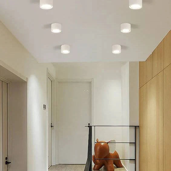 Ceiling Spotlight Adjustable LED Matte Metal