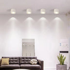 Ceiling Spotlight Adjustable LED Matte Metal