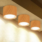 Ceiling Spotlight Adjustable LED Matte Metal