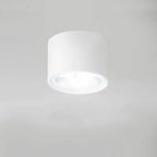 Ceiling Spotlight Adjustable LED Matte Metal