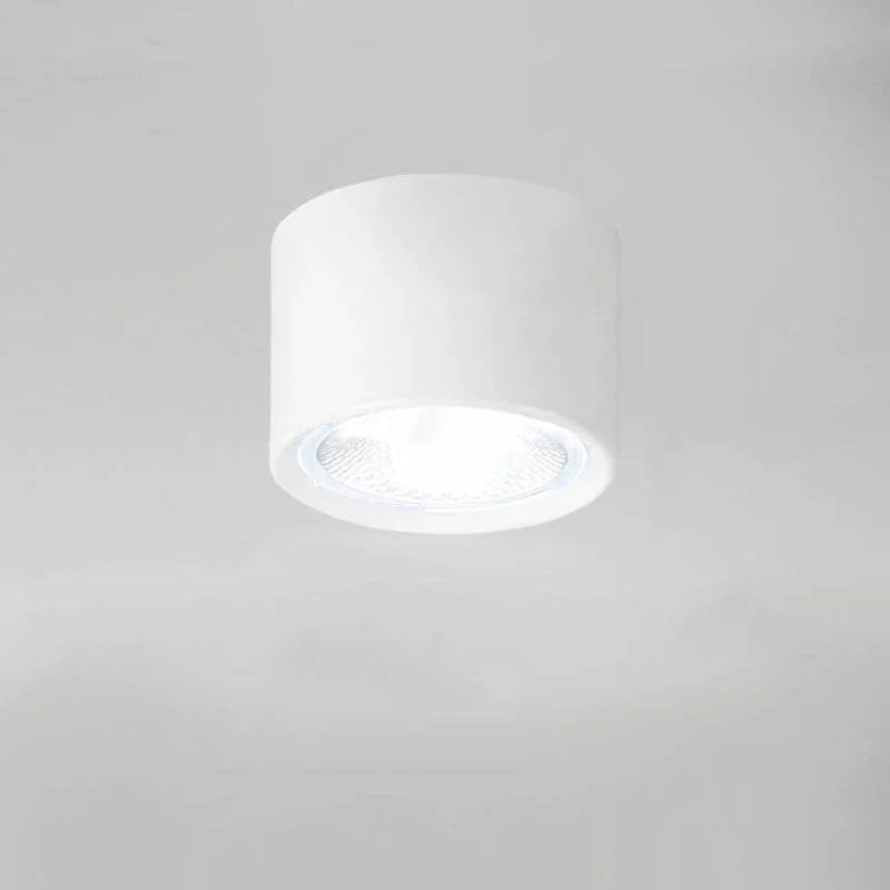 Ceiling Spotlight Adjustable LED Matte Metal
