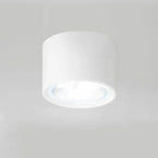 Ceiling Spotlight Adjustable LED Matte Metal