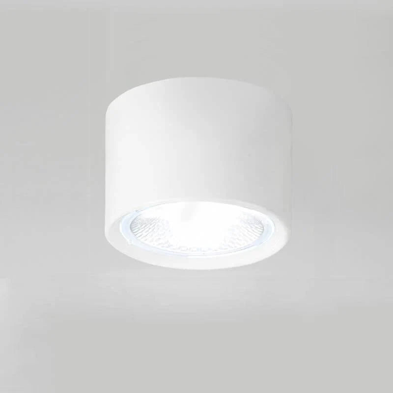 Ceiling Spotlight Adjustable LED Matte Metal